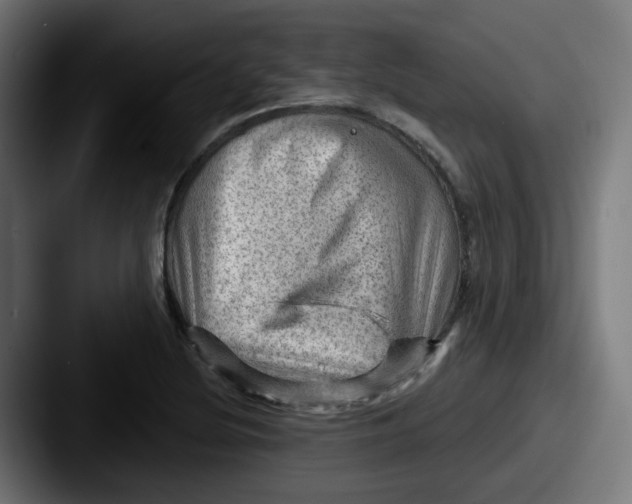 X0000087551220200705181100