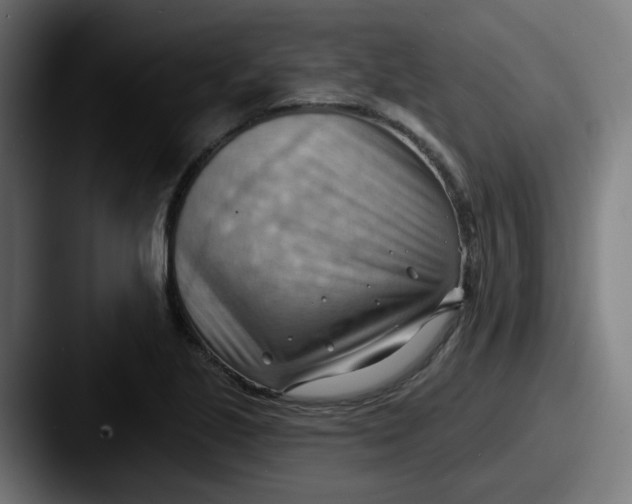 X0000087551221200705181100