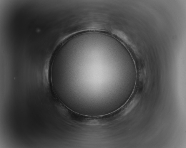 X0000087551222200705181100