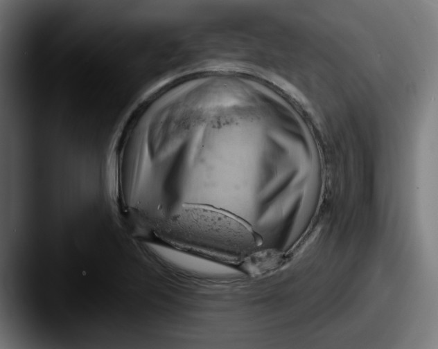 X0000087551223200705181100