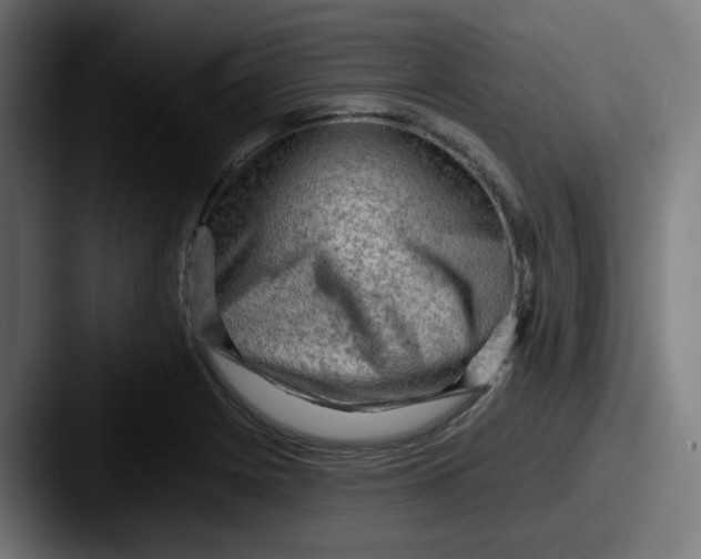 X0000087551225200705181100