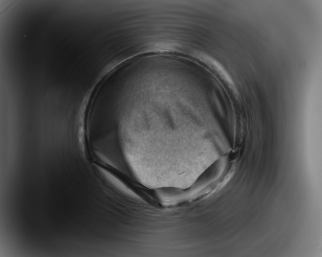 X0000087551226200705181100