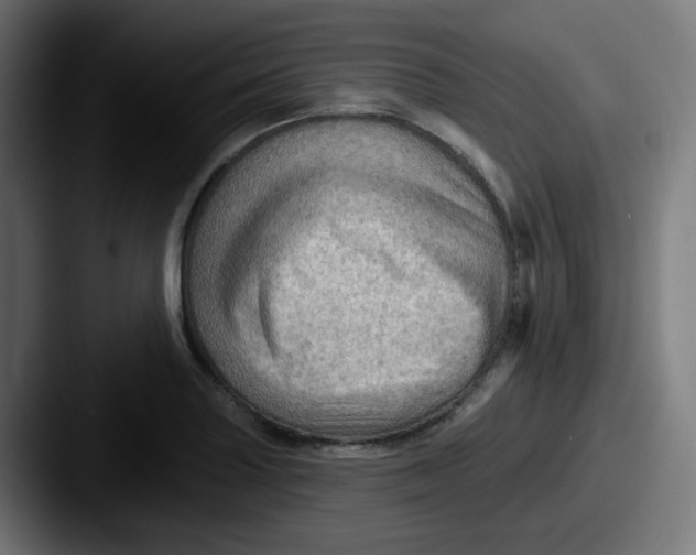 X0000087551227200705181100