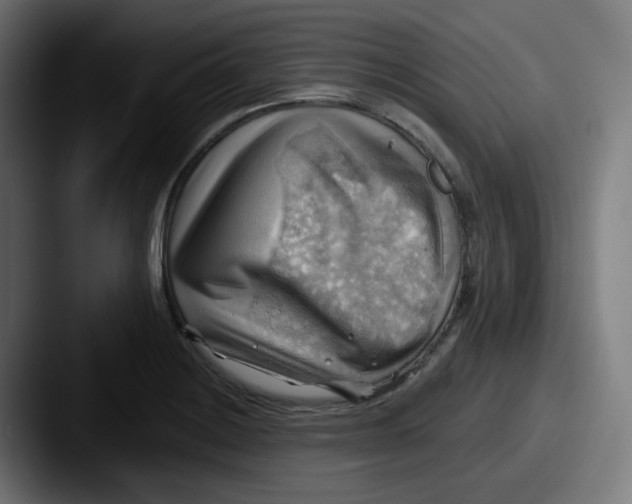 X0000087551228200705181100