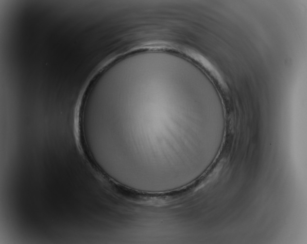 X0000087551229200705181100