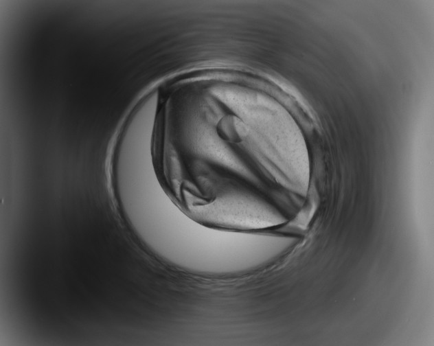 X0000087551230200705181100