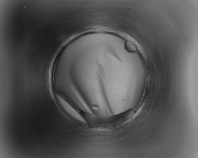 X0000087551231200705181100