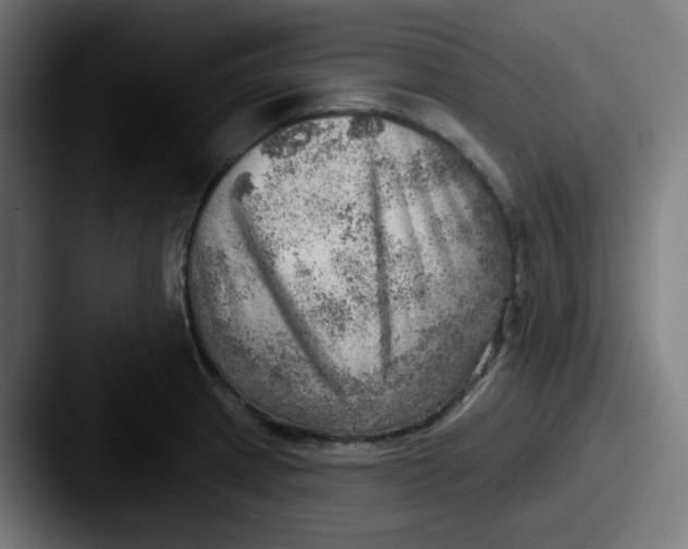 X0000087551233200705181100