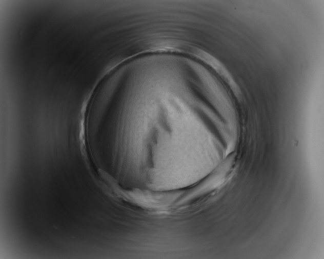 X0000087551234200705181101