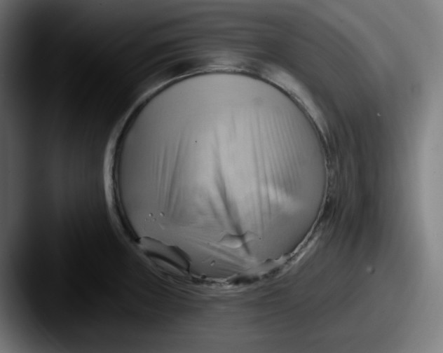 X0000087551235200705181101