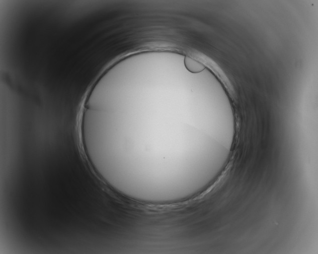 X0000087551236200705181101