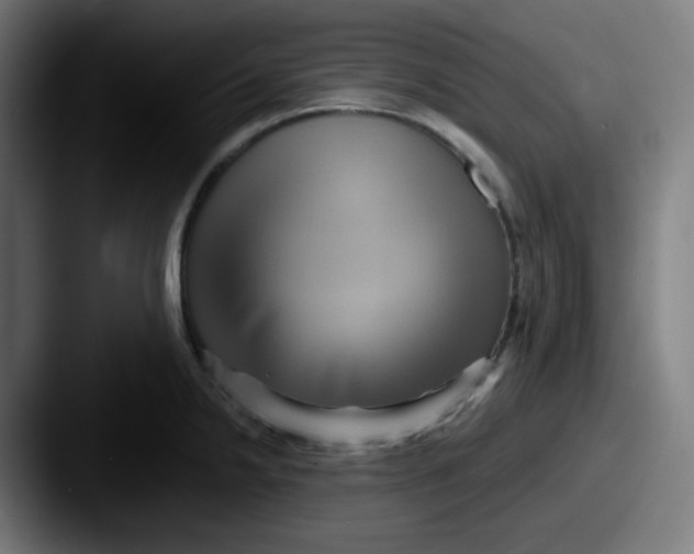 X0000087551238200705181101