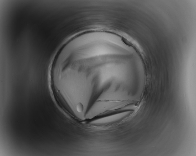 X0000087551239200705181101