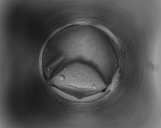 X0000087551240200705181101