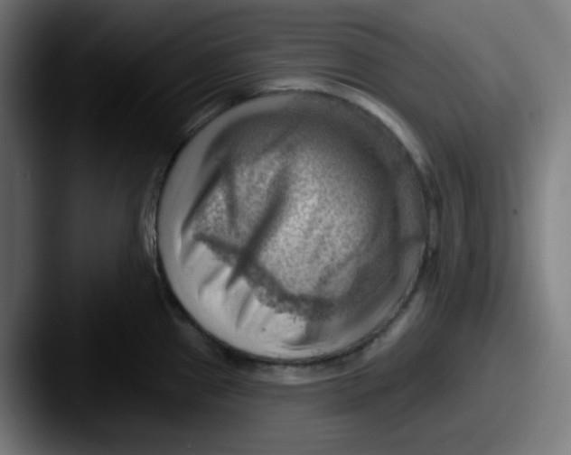 X0000087551241200705181101