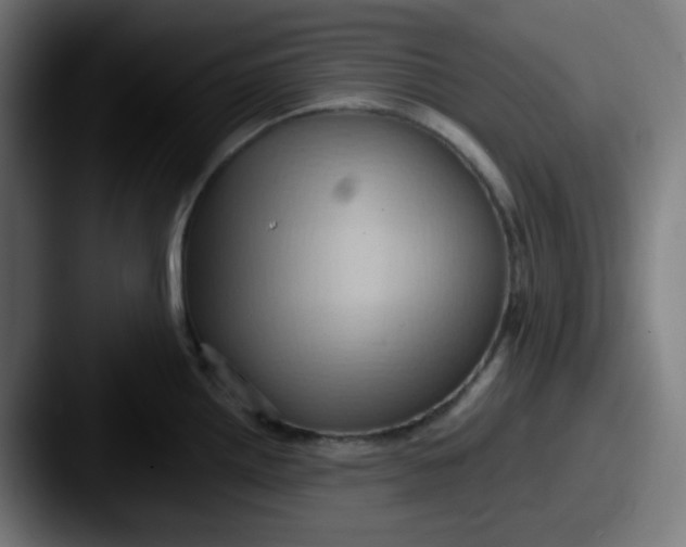 X0000087551242200705181101