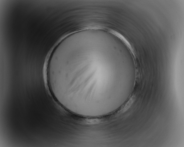 X0000087551243200705181101