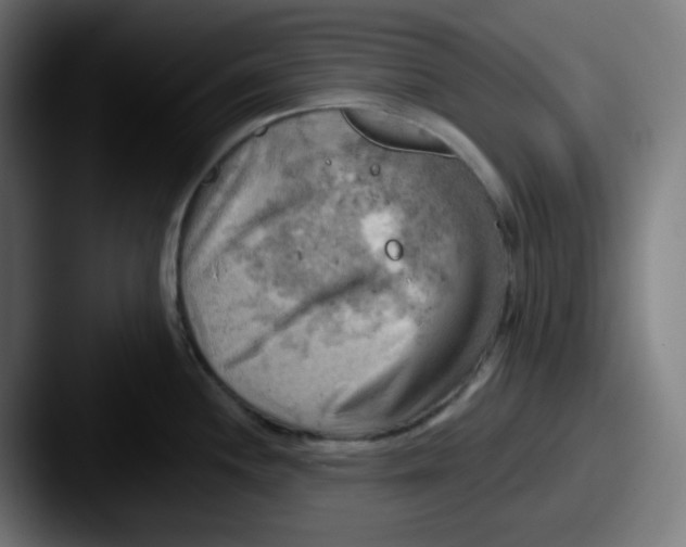 X0000087551244200705181101