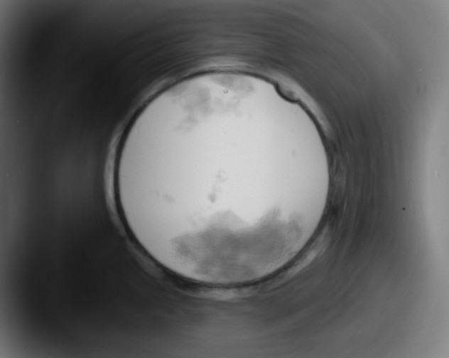 X0000087551245200705181101