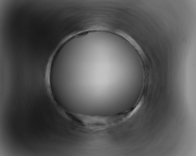 X0000087551246200705181101