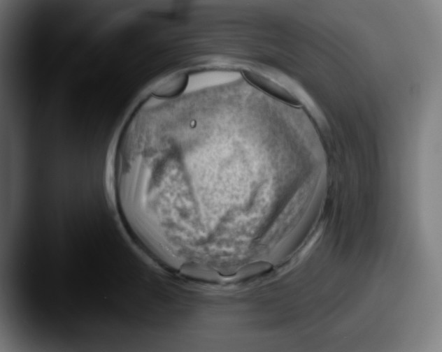 X0000087551247200705181101