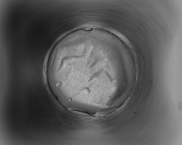 X0000087551248200705181101