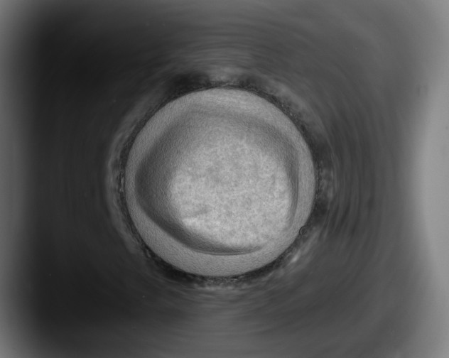 X0000087551249200705181100