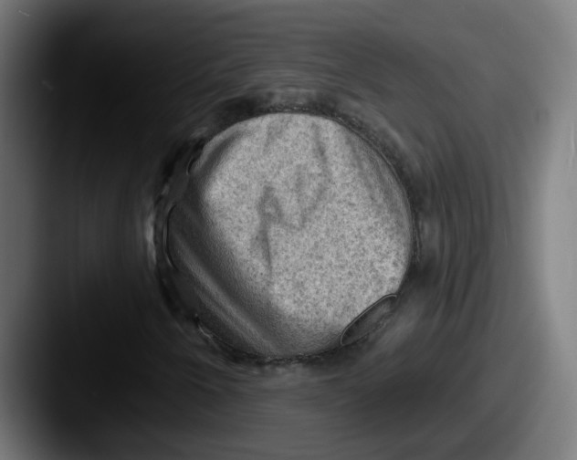 X0000087551250200705181100