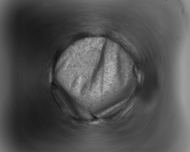 X0000087551251200705181100