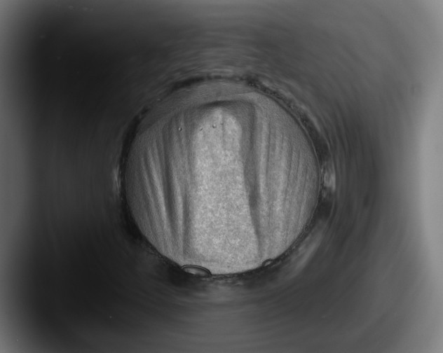 X0000087551252200705181100