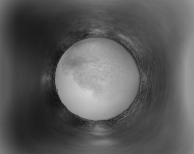 X0000087551254200705181100