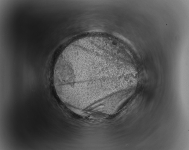 X0000087551255200705181100