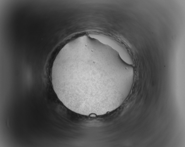 X0000087551256200705181100