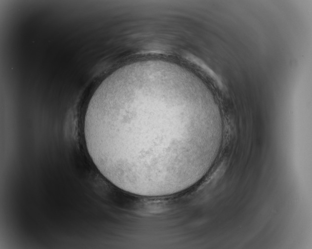 X0000087551258200705181100