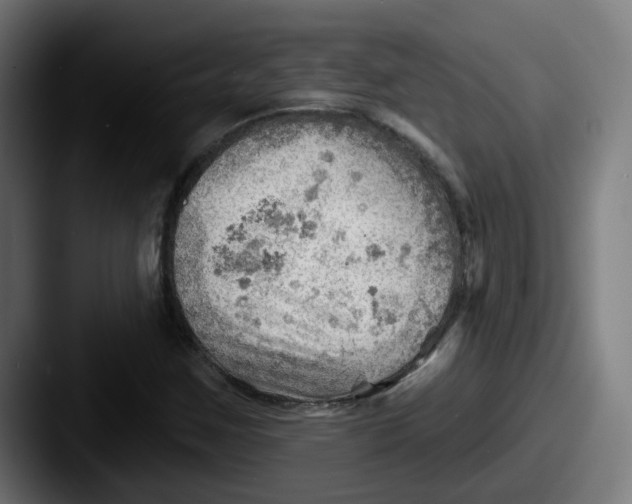 X0000087551259200705181100