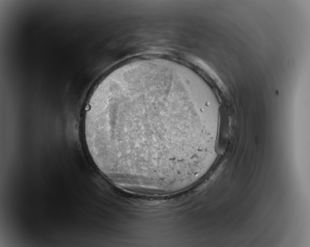 X0000087551260200705181100