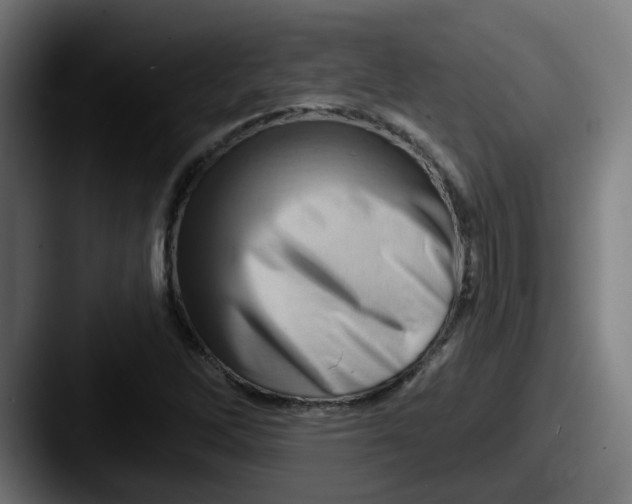 X0000087551262200705181100