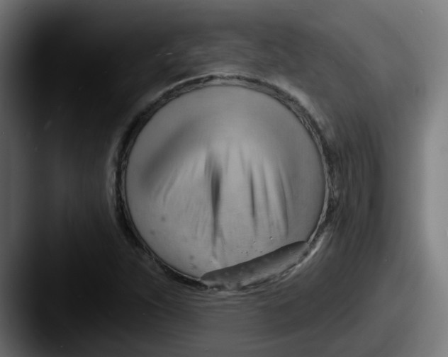 X0000087551263200705181100