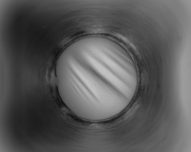 X0000087551265200705181100