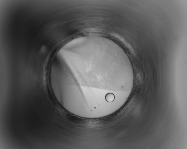 X0000087551266200705181100