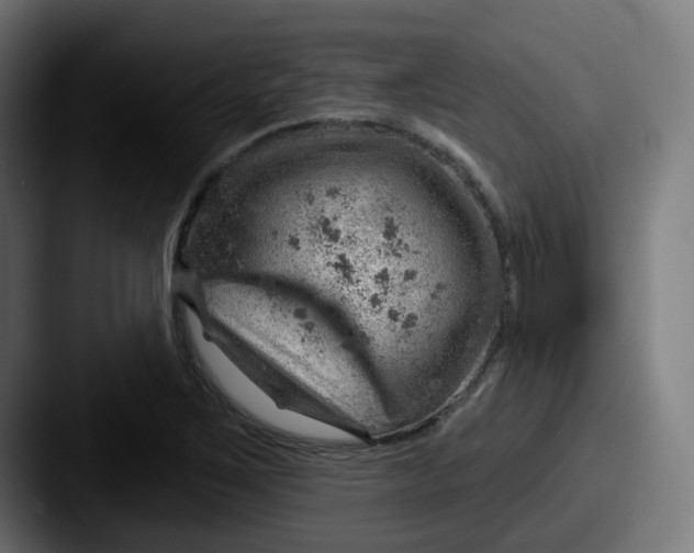 X0000087551267200705181100