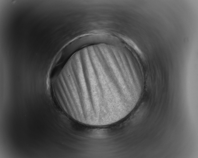 X0000087551268200705181100