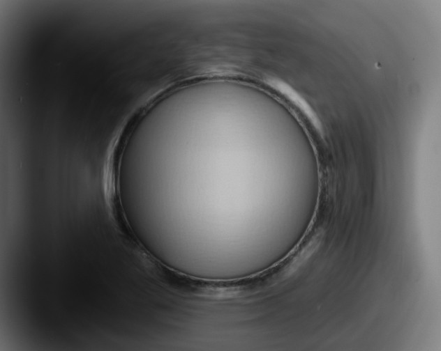 X0000087551269200705181100