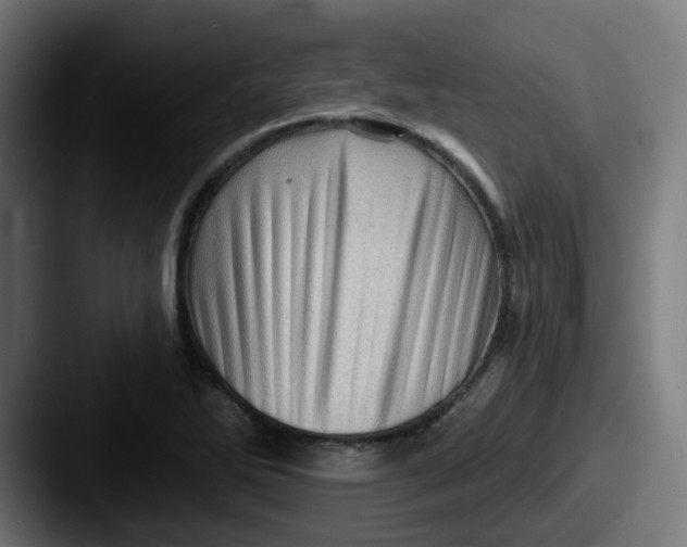 X0000087551270200705181100