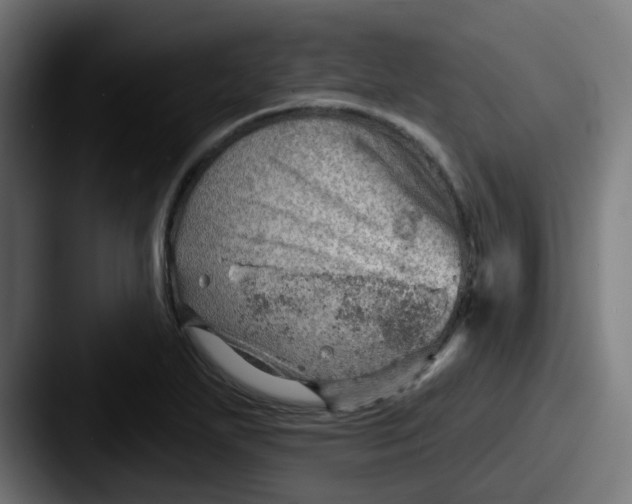 X0000087551271200705181100