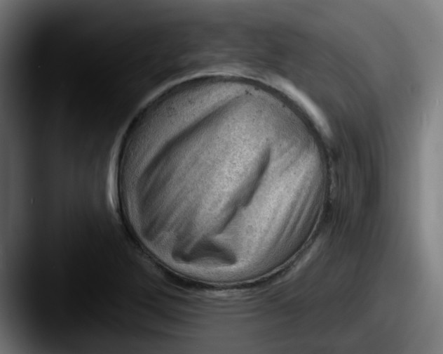 X0000087551272200705181100