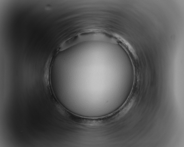 X0000087551273200705181100