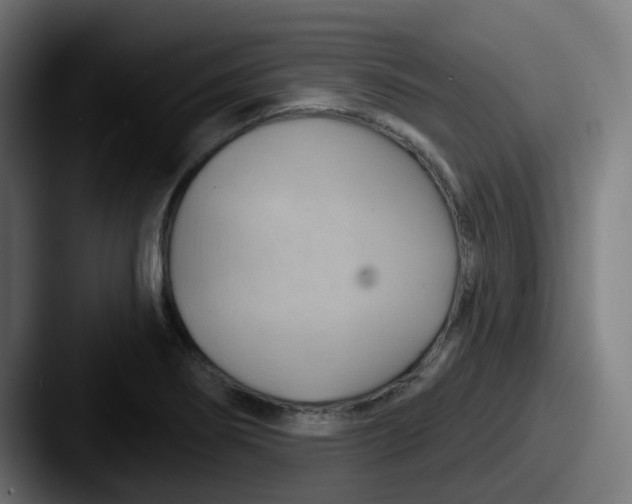 X0000087551274200705181100