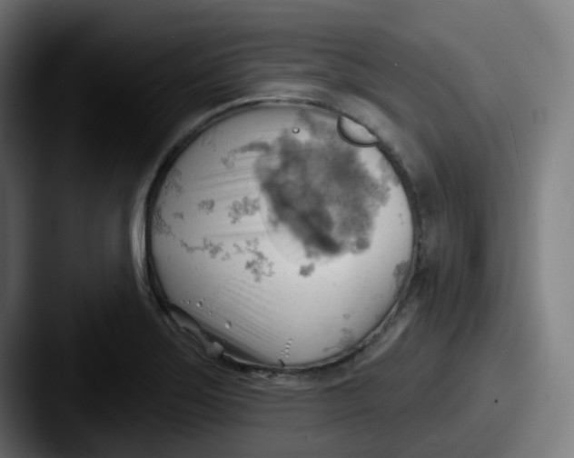 X0000087551275200705181100