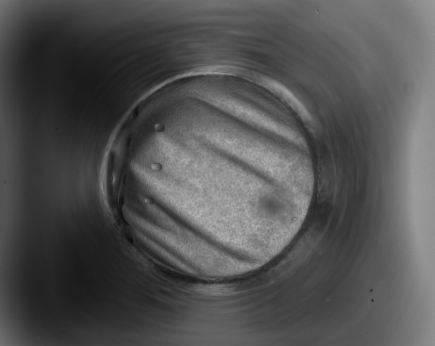 X0000087551276200705181100